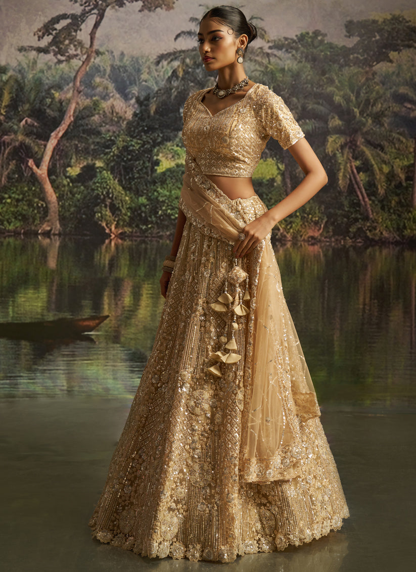 Amazing Beige Soft Embroidered Net Designer Wedding Lehenga Choli Set