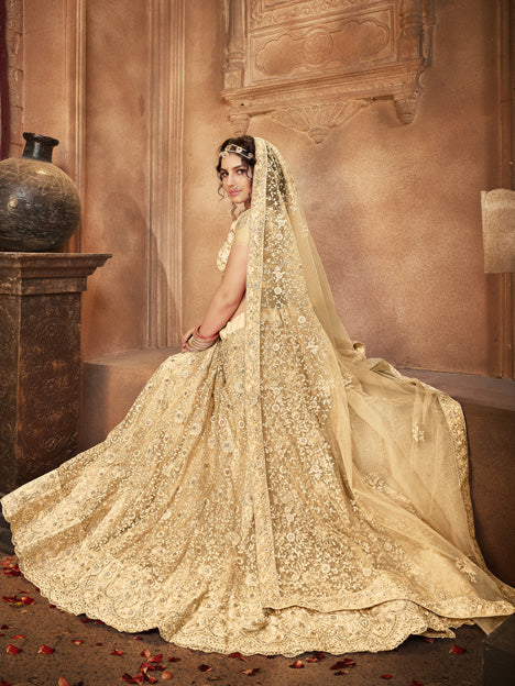 Beige Net Embroidered Designer Lehenga Choli