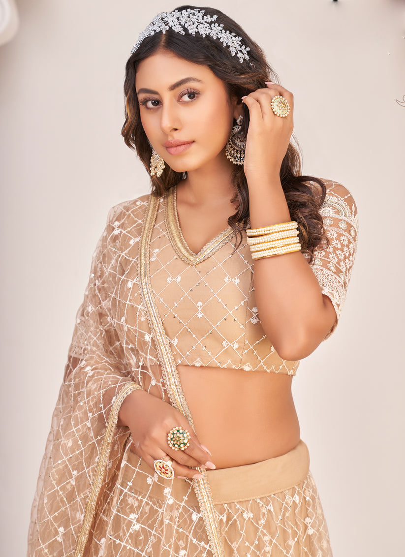 Beige Net Embroidered Lehenga Choli