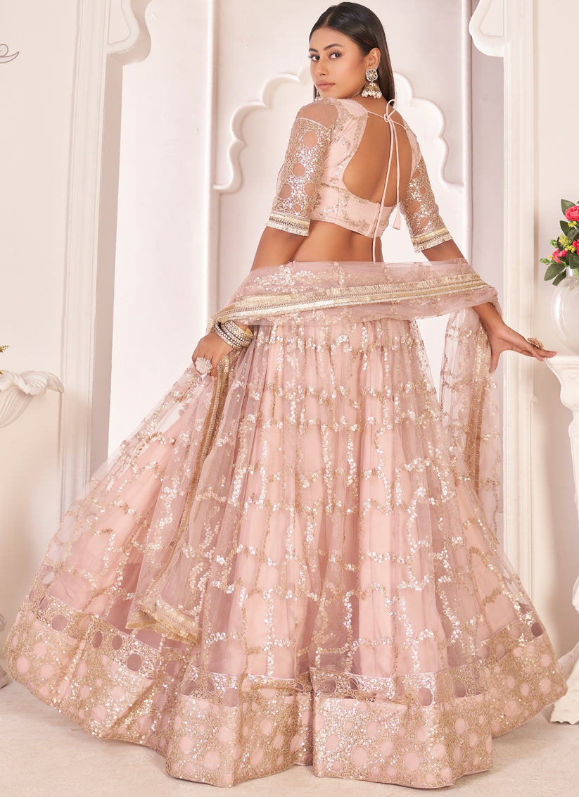 Blush Pink Net Embroidered Lehenga Choli
