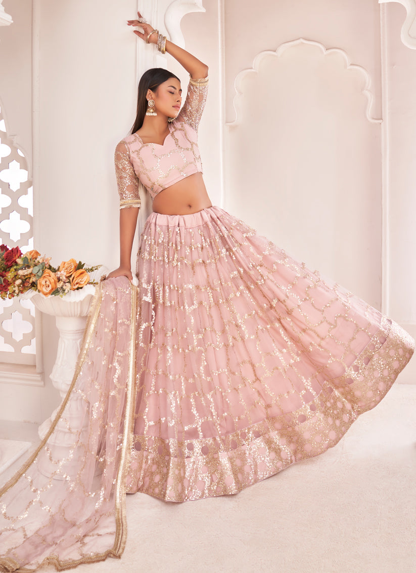 Blush Pink Net Embroidered Lehenga Choli