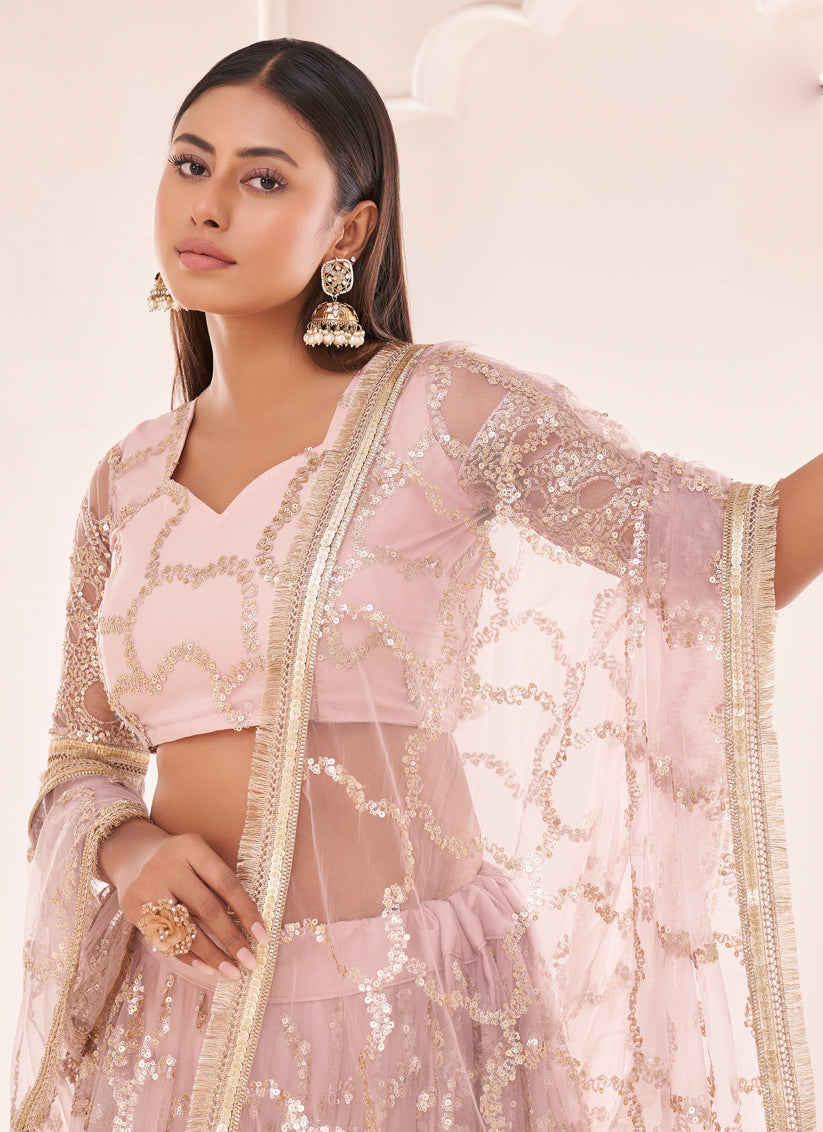 Blush Pink Net Embroidered Lehenga Choli