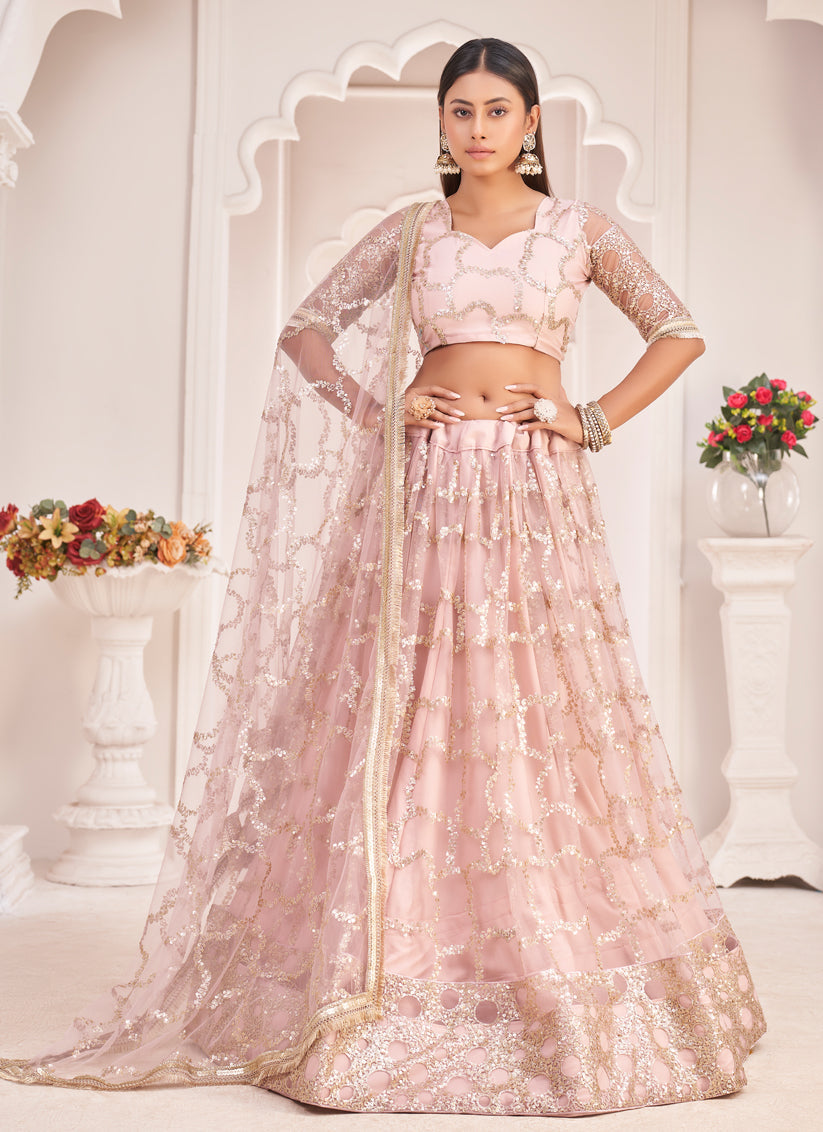 Blush Pink Net Embroidered Lehenga Choli