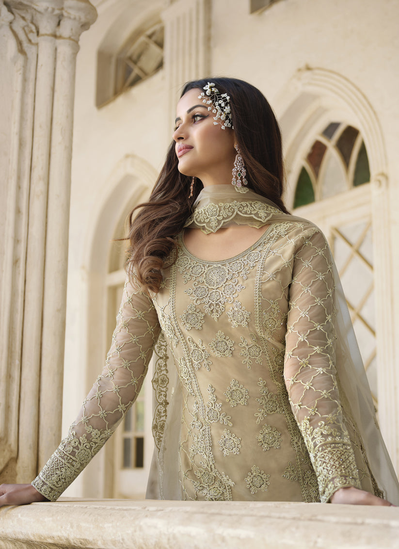 Beige Net Embroidered Designer Pant Kameez Set