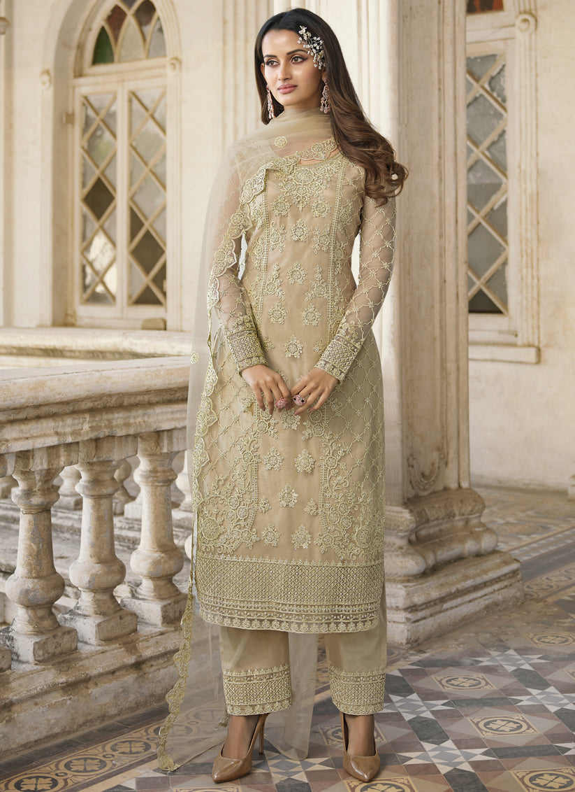 Beige Net Embroidered Designer Pant Kameez Set