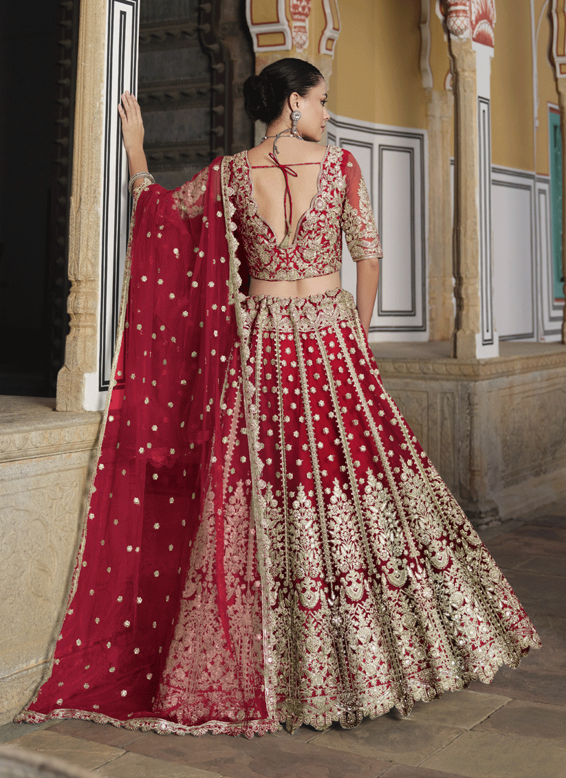 Cherry Red Net Embroidered Lehenga Choli