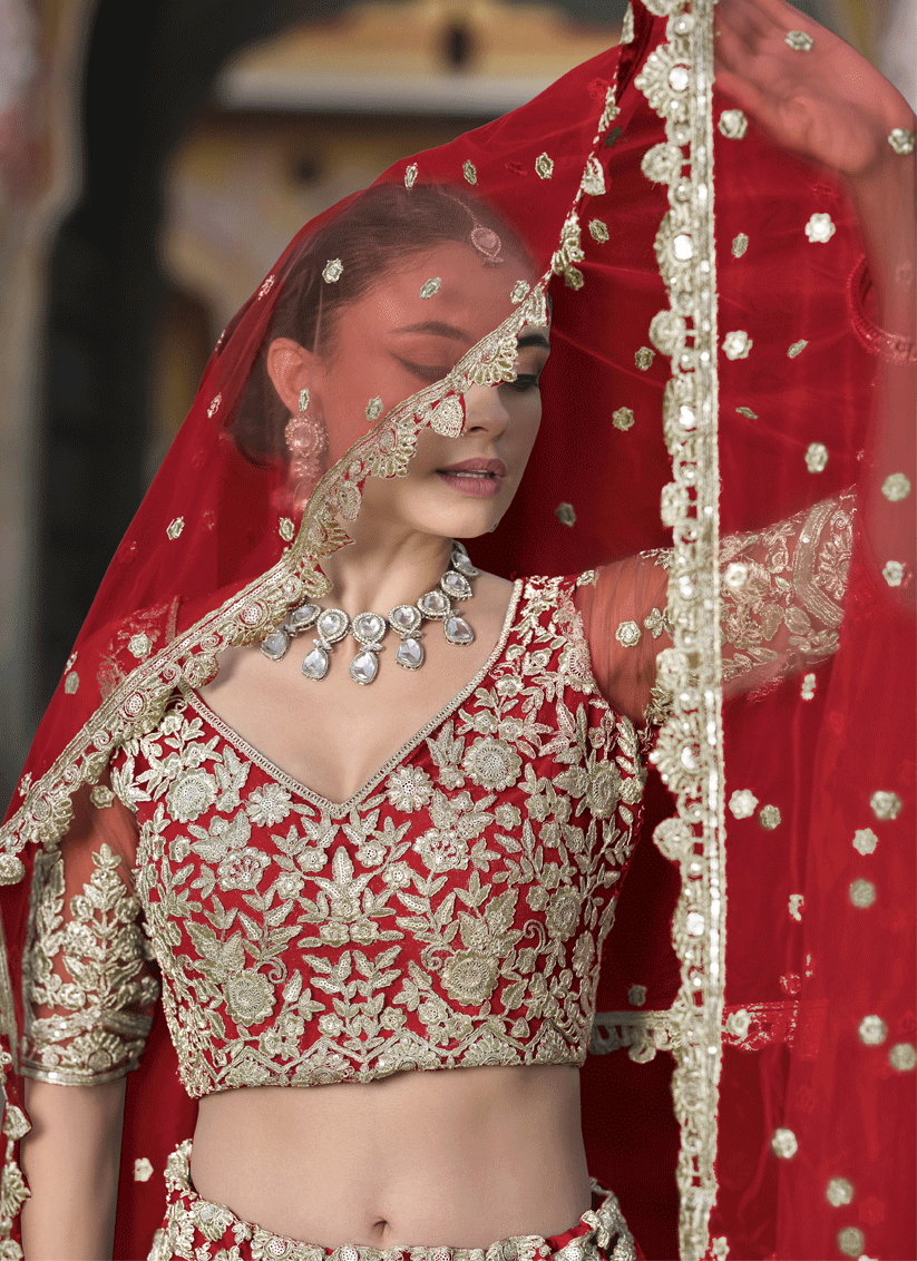 Cherry Red Net Embroidered Lehenga Choli