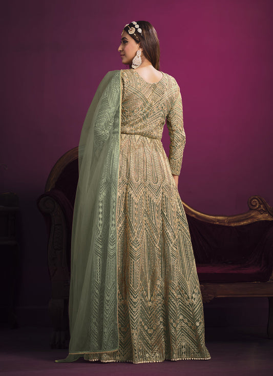 Astonishing Sage Green Net Embroidered Designer Pant Kameez