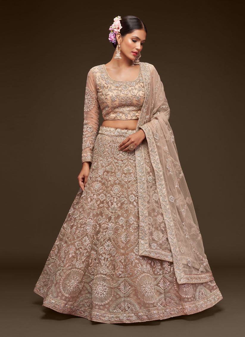 Incredible Beige Net Embroidered Designer Lehenga Choli