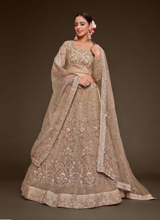 Bewitching Beige Net Embroidered Designer Lehenga Choli
