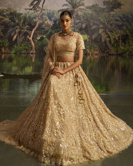 Amazing Beige Soft Embroidered Net Designer Wedding Lehenga Choli Set