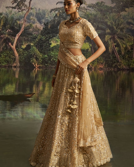 Amazing Beige Soft Embroidered Net Designer Wedding Lehenga Choli Set