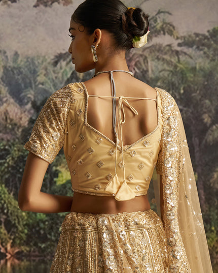 Amazing Beige Soft Embroidered Net Designer Wedding Lehenga Choli Set