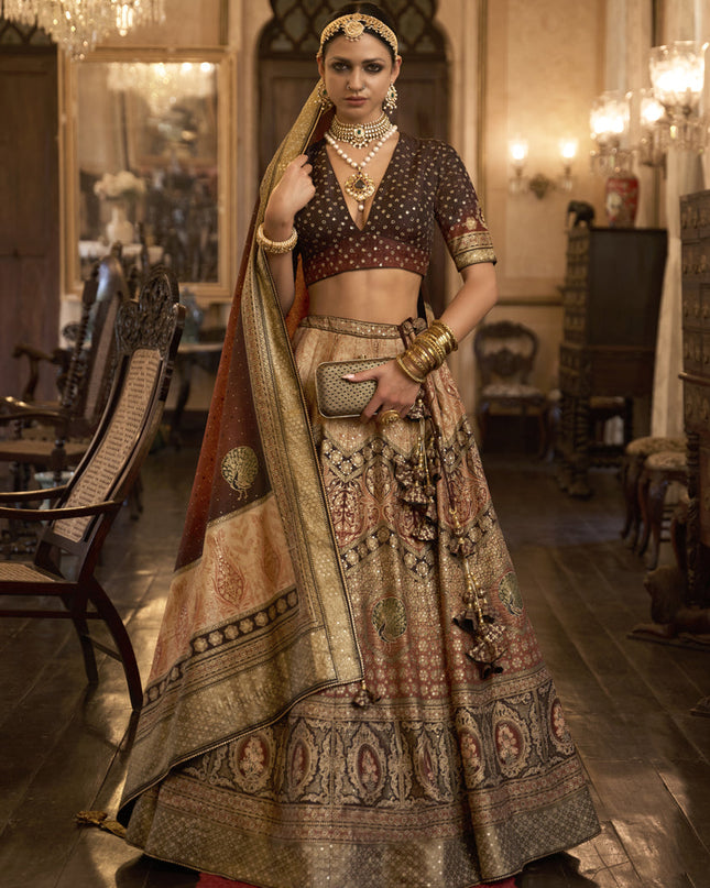 Multicolor Rajwadi Silk Embellished Lehenga Choli