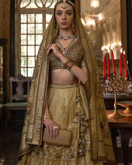 Dusty Gold Rajwadi Silk Embellished Lehenga Choli