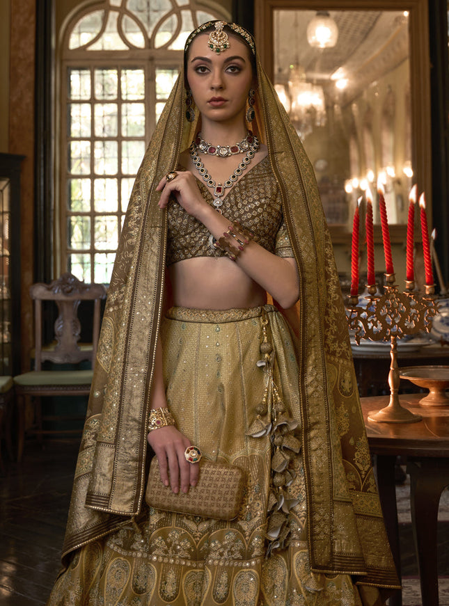 Dusty Gold Rajwadi Silk Embellished Lehenga Choli