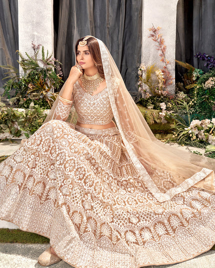 Beige Net Embroidered Lehenga Choli Set