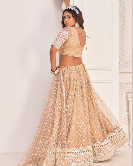 Beige Net Embroidered Lehenga Choli