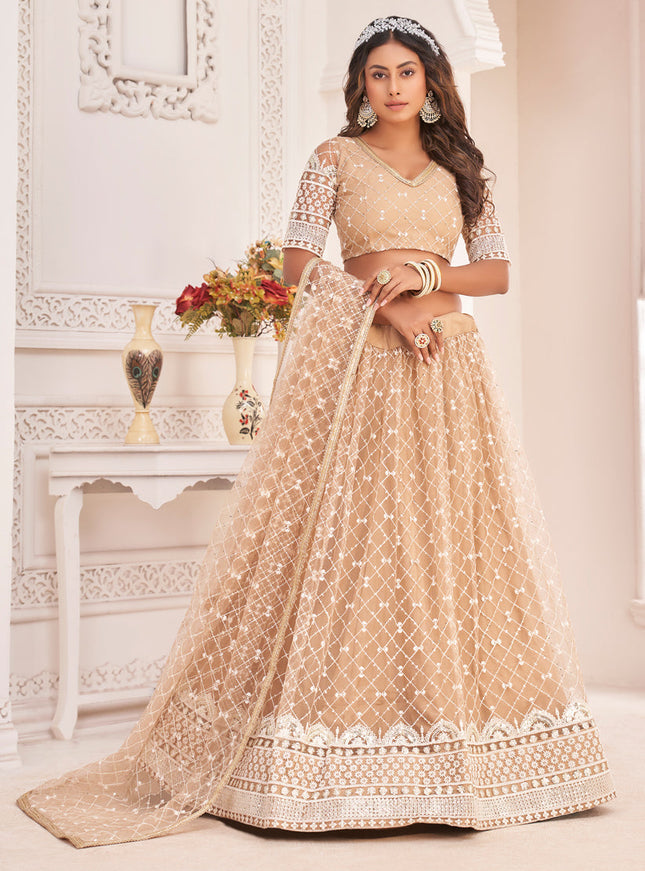 Beige Net Embroidered Lehenga Choli