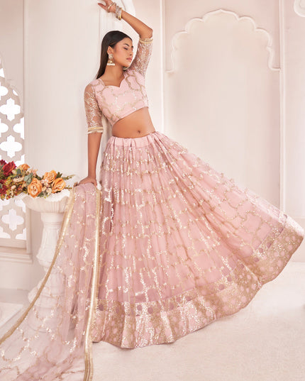 Blush Pink Net Embroidered Lehenga Choli
