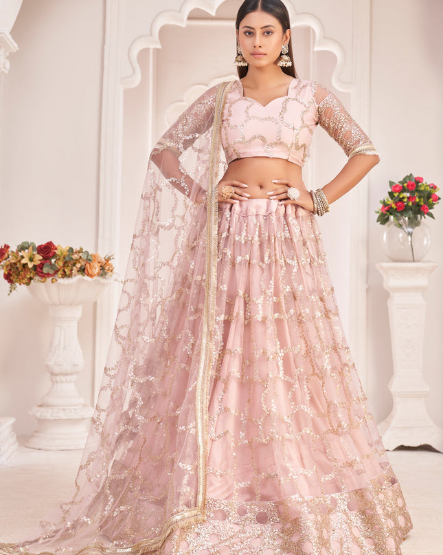 Blush Pink Net Embroidered Lehenga Choli