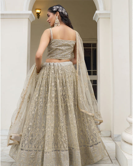 Dusty Cream Net Embroidered Lehenga Choli Set