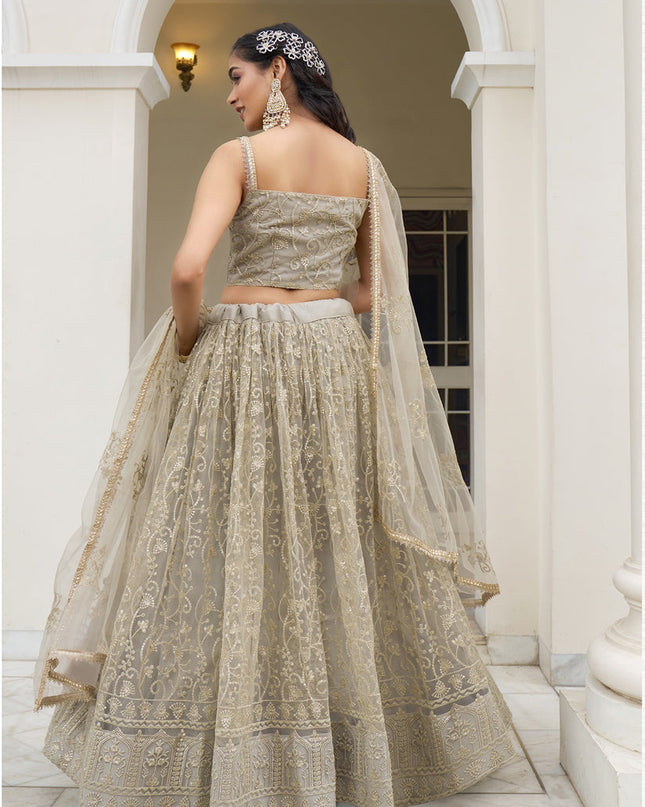 Dusty Cream Net Embroidered Lehenga Choli Set
