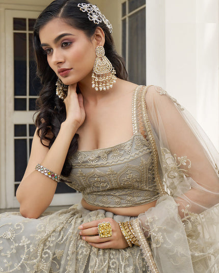 Dusty Cream Net Embroidered Lehenga Choli Set
