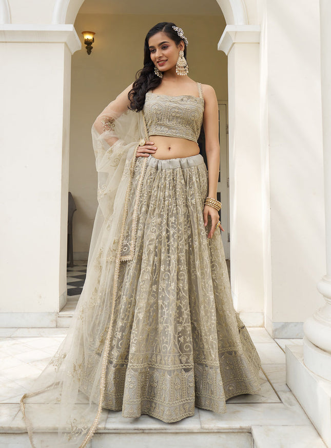 Dusty Cream Net Embroidered Lehenga Choli Set