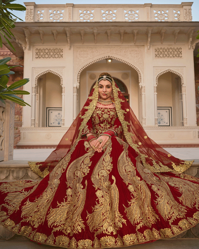 Maroon Embroidered Velvet Lehenga Choli