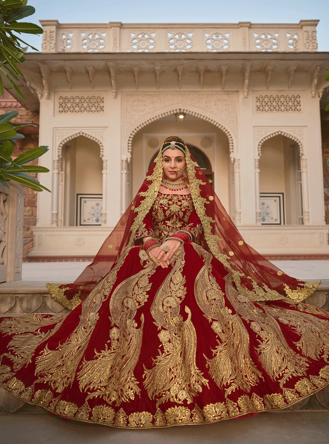 Maroon Embroidered Velvet Lehenga Choli
