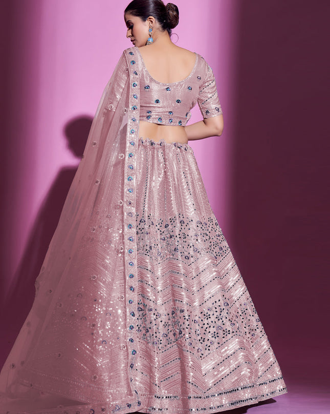 Blush Pink Net Embroidered Designer Lehenga Choli