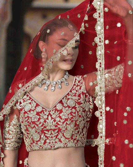 Cherry Red Net Embroidered Lehenga Choli