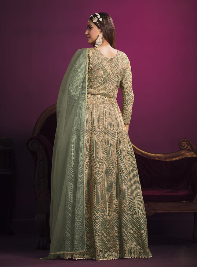 Astonishing Sage Green Net Embroidered Designer Pant Kameez
