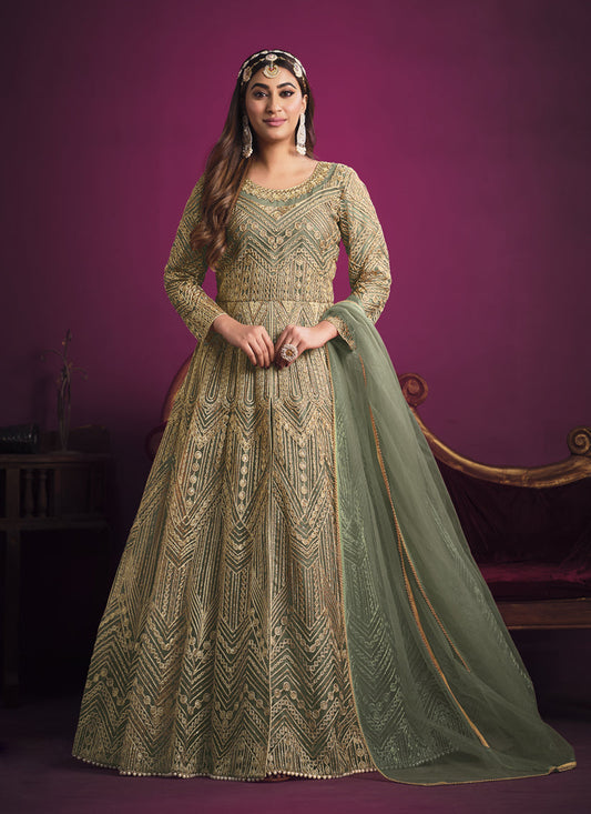 Astonishing Sage Green Net Embroidered Designer Pant Kameez
