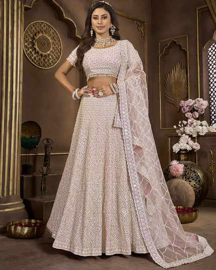 Baby Pink Net Embroidered Designer Lehenga Choli Set