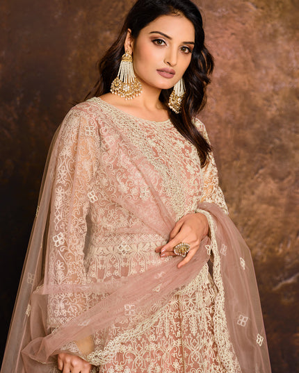 Blush Pink Net Embroidered Designer Anarkali Suit