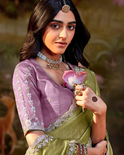 Pistachio Green Organza Chiffon Embroidered Designer Wedding Saree