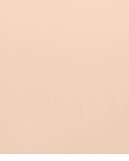 Blush Peach Georgette Sequins Embroidered Wedding Saree