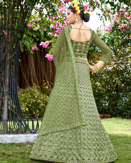 Pear Green Net Embroidered Lehenga Choli