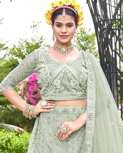 Pastel Green Net Designer Lehenga Choli Set