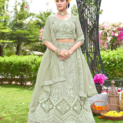 Pastel Green Net Designer Lehenga Choli Set