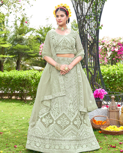 Pastel Green Net Designer Lehenga Choli Set