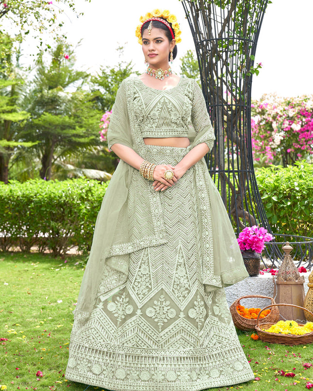 Pastel Green Net Designer Lehenga Choli Set