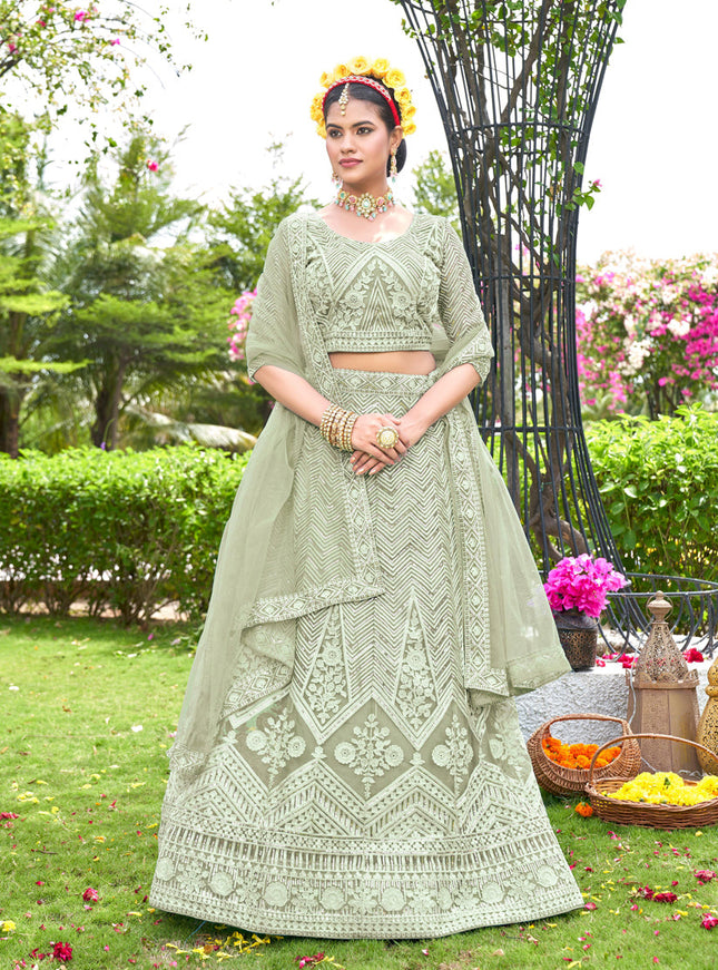 Pastel Green Net Designer Lehenga Choli Set