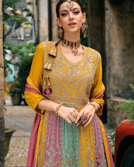 Multicolor Chinnon Embroidered Palazzo Kameez