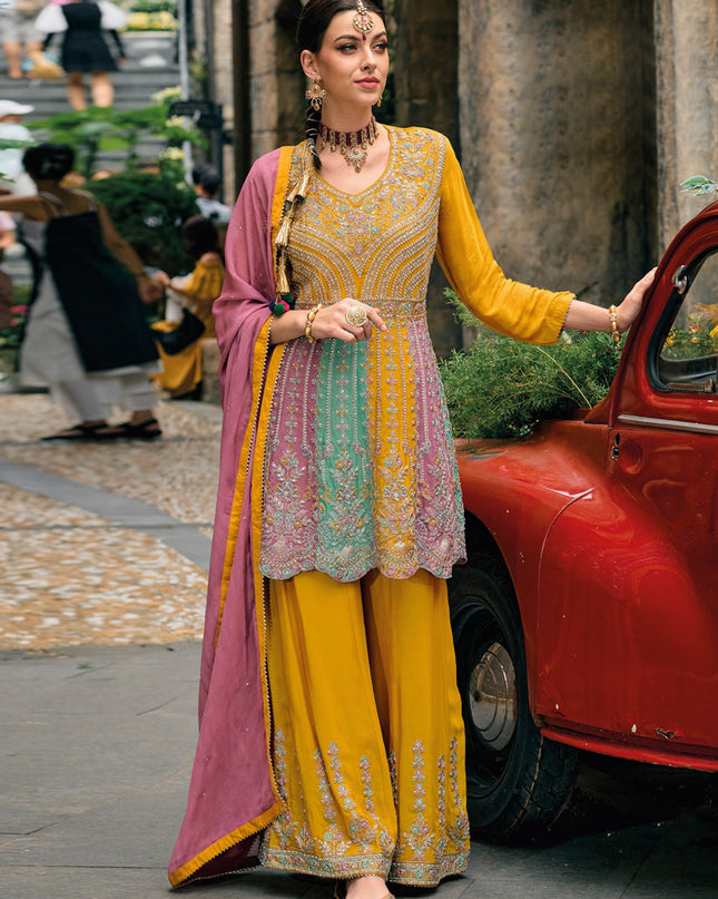 Multicolor Chinnon Embroidered Palazzo Kameez