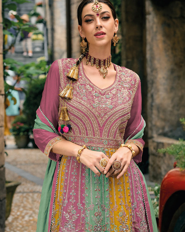 Multicolor Chinnon Embroidered Palazzo Kameez