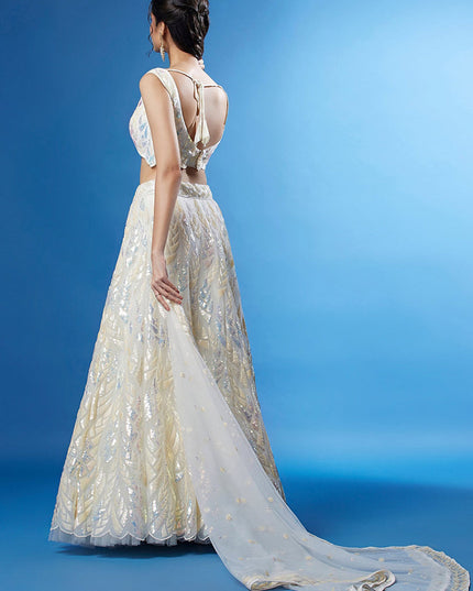 Pearl White Net Embroidered Designer Lehenga Choli