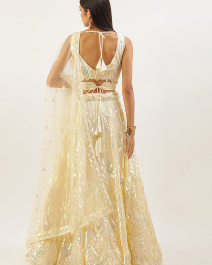 Pastel Yellow Net Embroidered Designer Lehenga Choli